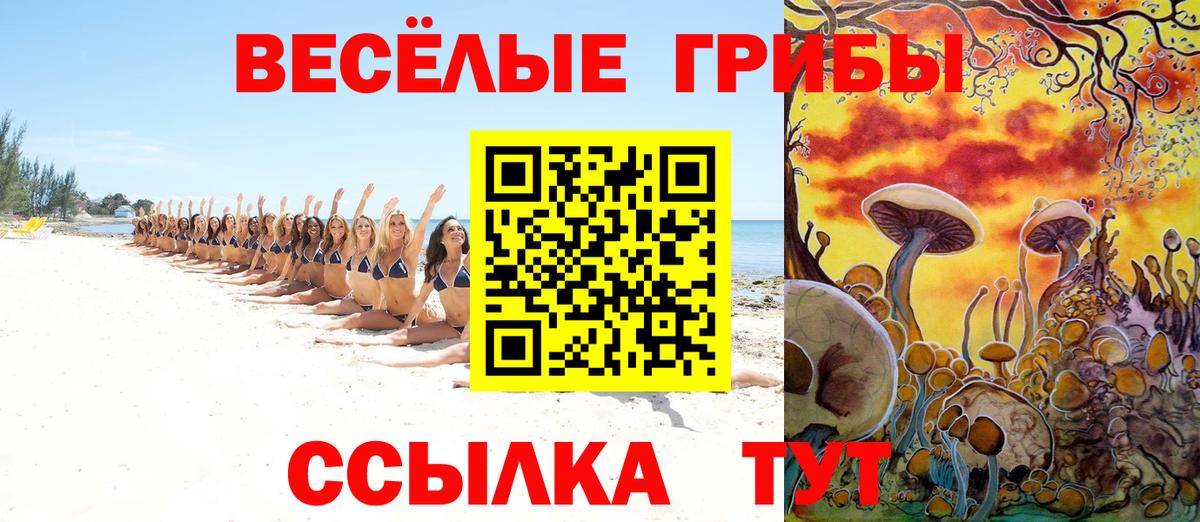 Галлюциногенные грибы мицелий  Вход с VPN  Ахтубинск 