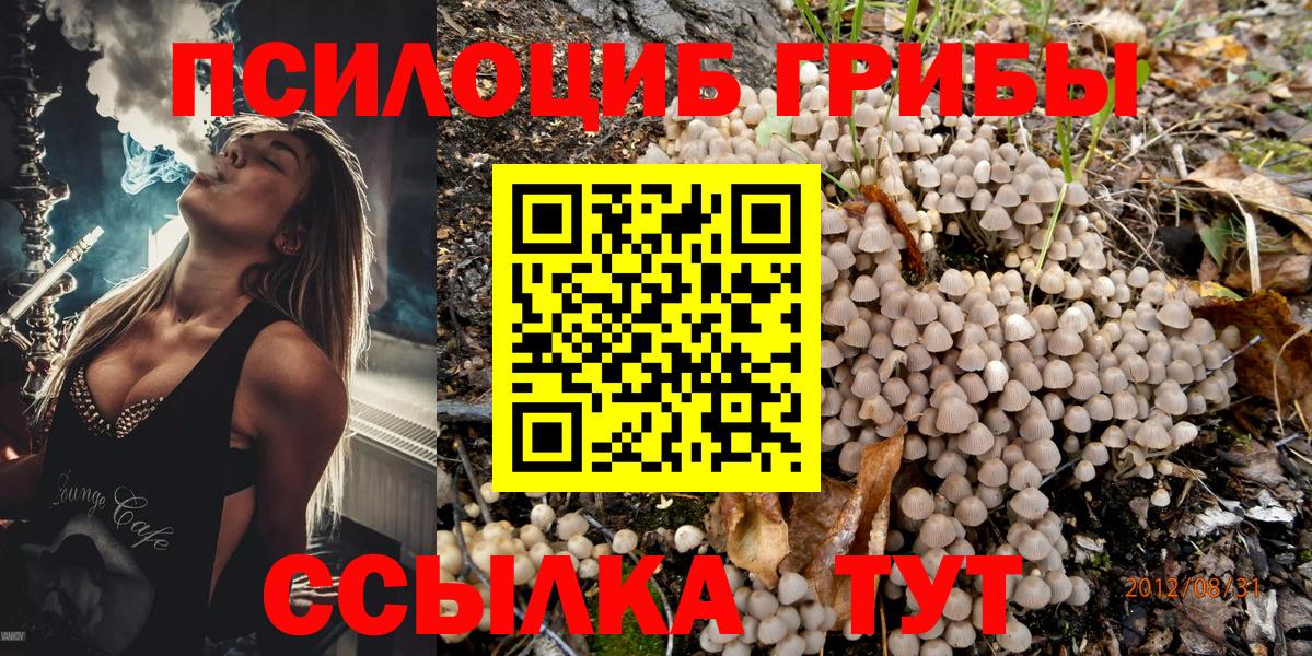 Галлюциногенные грибы прущие грибы Ахтубинск